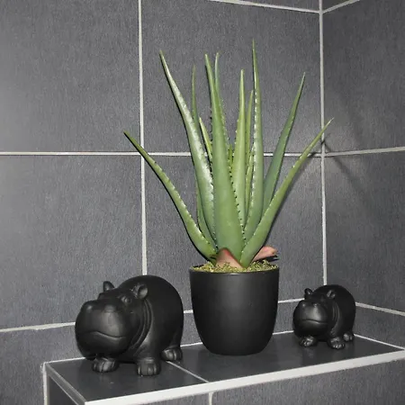 Ornament Lux B11 * Vrnjačka Banja