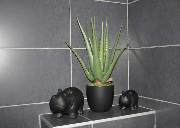 Ornament Lux B11 * Vrnjačka Banja